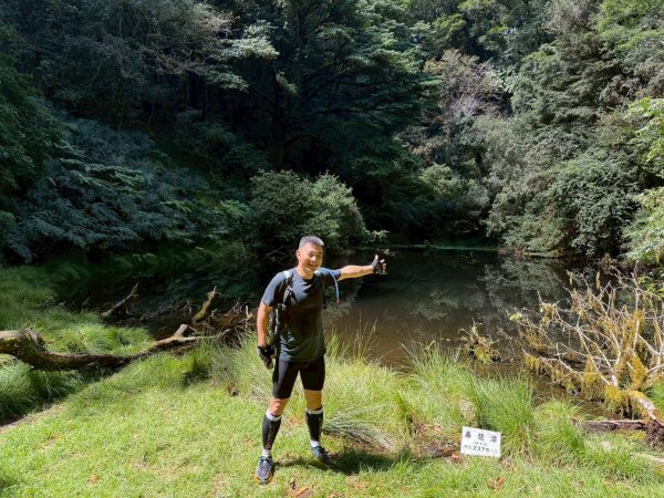 新竹 尖石 鎮西堡巨木群步道A線巨木群 毒龍潭2884751