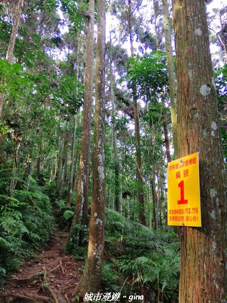 【苗栗。南庄】到山裡森呼吸。 小百岳集起來。編號32小百岳-向天湖山1466275