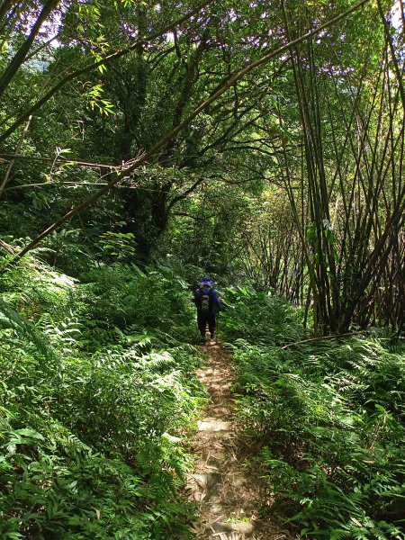 【新北-臺灣百大必訪步道】流水淙淙的三貂嶺瀑布群步道1455485
