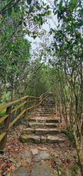 2023-12-02梅峰古道、獵鷹尖一線天步道、伍龍步道環行一圈2367064