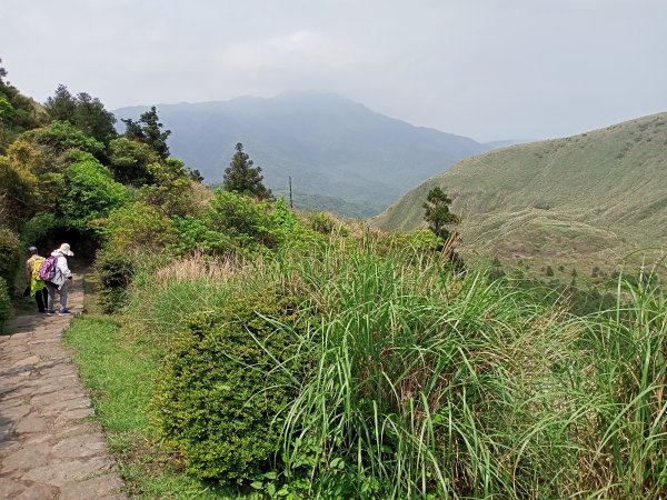 夢幻湖步道【走遍陽明山】2107496