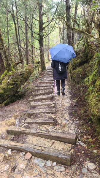 2025-0222 翠峰湖環山步道2718642