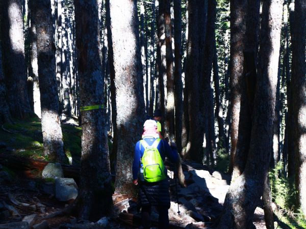 雪山主峰、東峰106.9.30-10.1179422