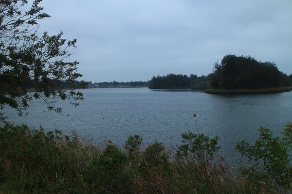 雲林．口湖椬梧滯洪池自行車道2023/01/012003589