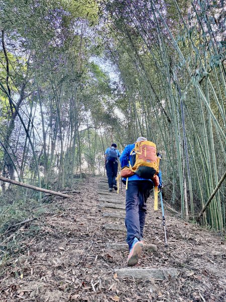 再訪八通關社寮古道登陳東坑山    2025.11.252946103