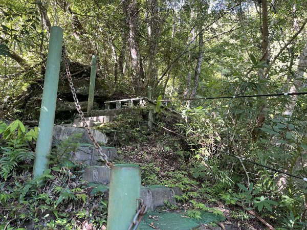 [玉山尋寶任務-03/12] 2025_0810 瓦拉米步道2857523