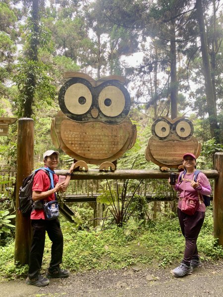 溪頭散步悠遊    2024.5.202517698