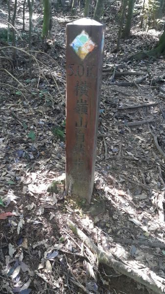 橫嶺山自然步道 2017 08 18156543