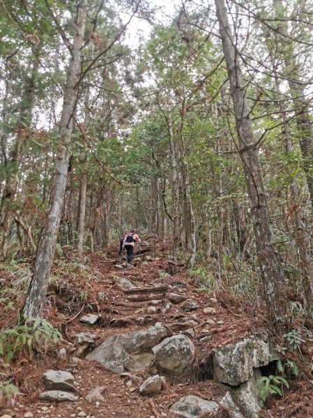 慢遊森活-馬崙山＋斯可巴步道-3/22886975