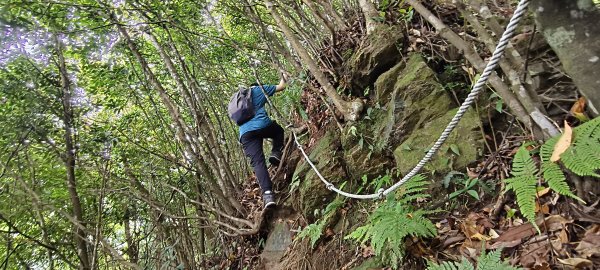 2025/05/17-凌空廊道至比麟山來回2790083