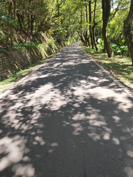 微笑山線：【大棟山系】百年大榕樹段2868470