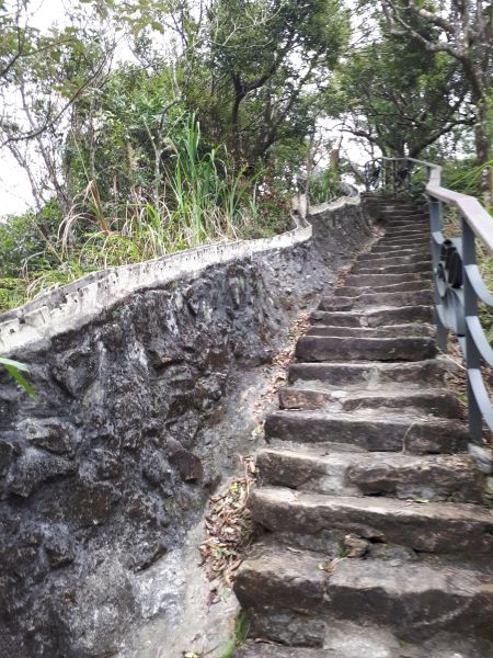 忠勇山鯉魚山親山步道2017.03.22141398