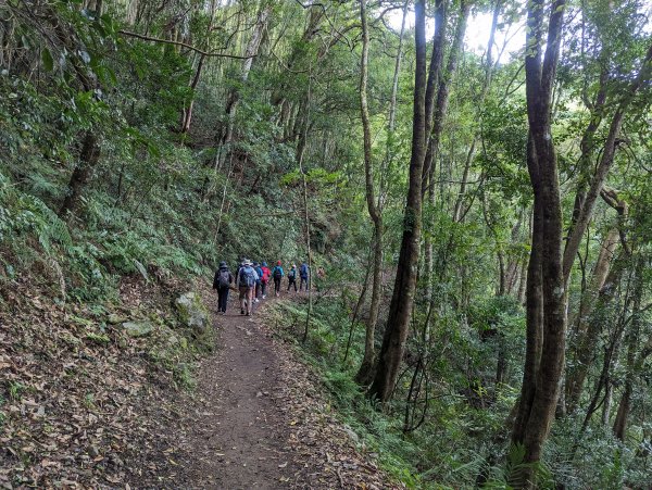 霞喀羅國家步道：養老登山口→白石吊橋(來回)1948472