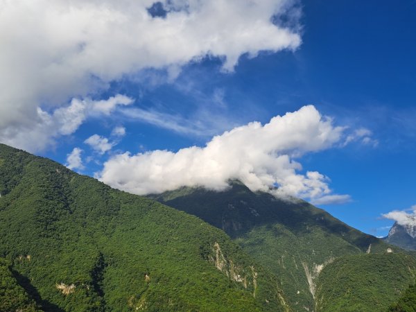 小百岳集起來立霧山登山步道，初音山步道3113474