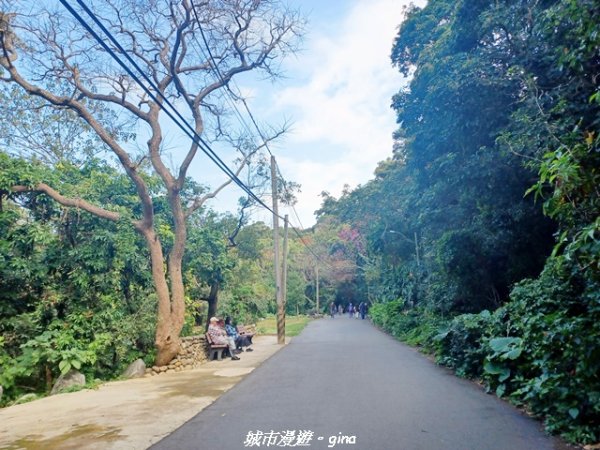 【新竹東區】十八尖山x十八尖山東峰x石家魚丸x東門倆冰糖葫蘆x城隍廟鄭家蛋糕2984192