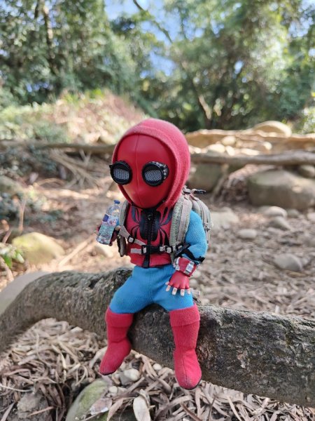 2024.01.02 飛鳳山2832148