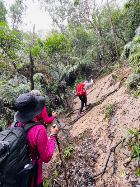 1131225新山夢湖2676514