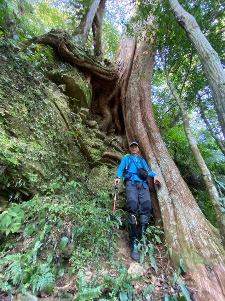 雙鳥縱走+那結山1312831