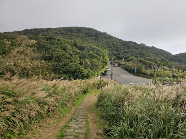 2025臺北大縱走第三段：小油坑至風櫃口2973474