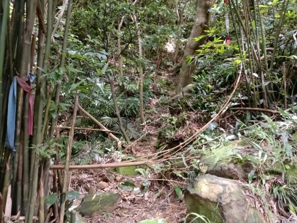 瑞芳區黃金8.5稜+南雅山O型2866456