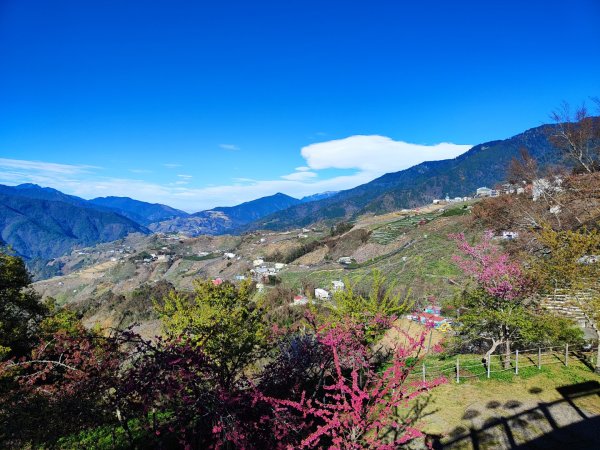 單攻志佳陽2725297