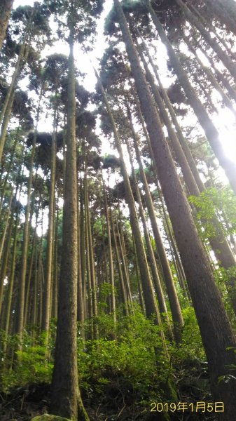 小百岳行~加里山(#34)，苗栗縣山500996