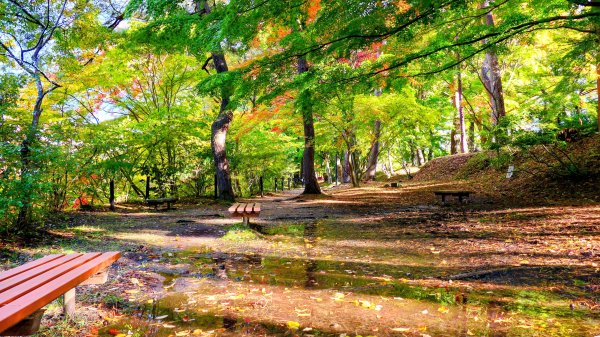 岩手縣嚴美溪2930218