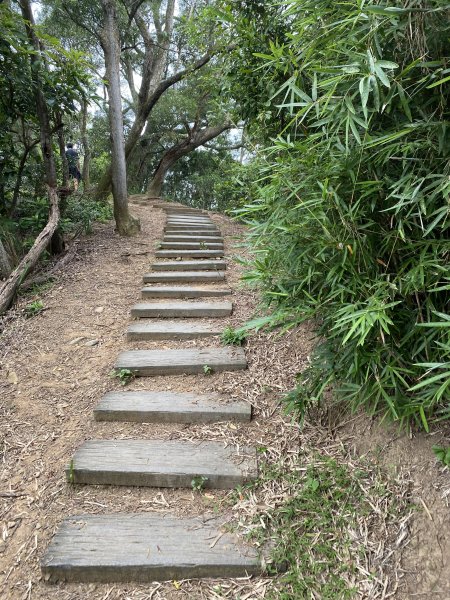 20250706-EP.06犁頭山、文山步道-2025森遊竹縣皮皮獅探險隊2851722