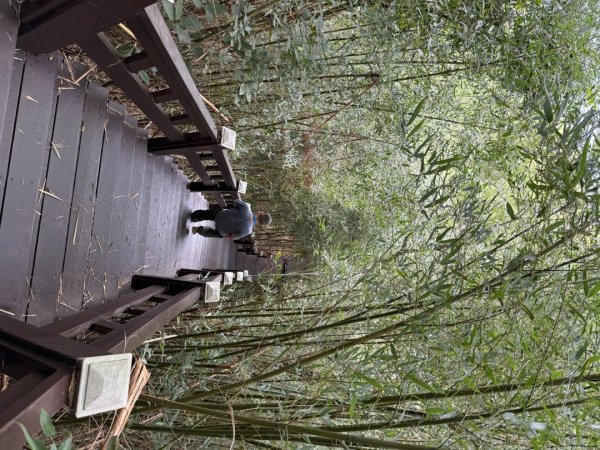 后里觀音山 鳳凰山2816254