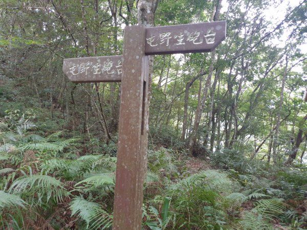 芝生毛台山封面