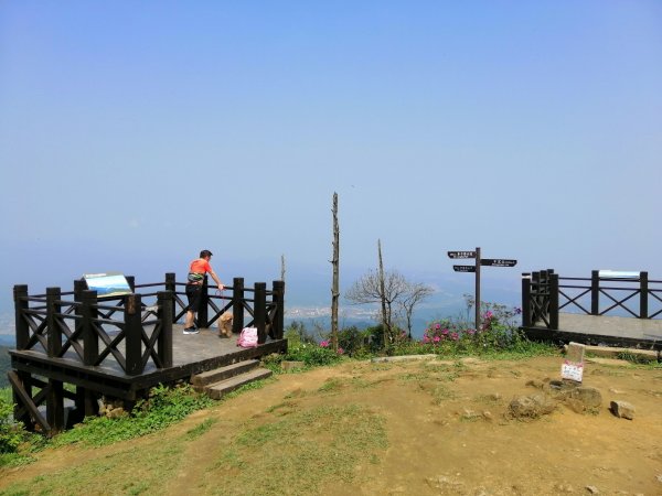 姜子寮山步道&姜子寮絕壁步道549599