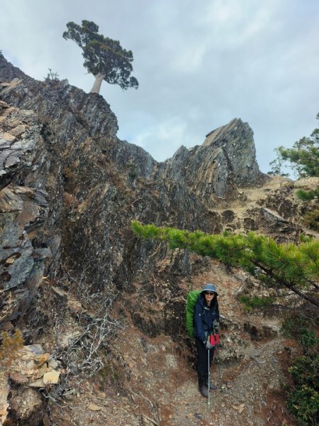 20240320 馬博8天縱走~第五天，馬里亞文路山，馬利加南山2471235