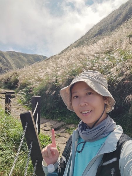 20261012 苗圃上七星公園上東主峰下小油坑上菜公坑下大屯自然公園二子坪3133738