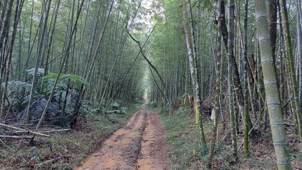 過坑山逛逛1114497