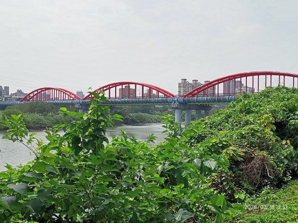 【臺北大縱走 8】捷運動物園站→捷運關渡站［河濱自行車道］2457327