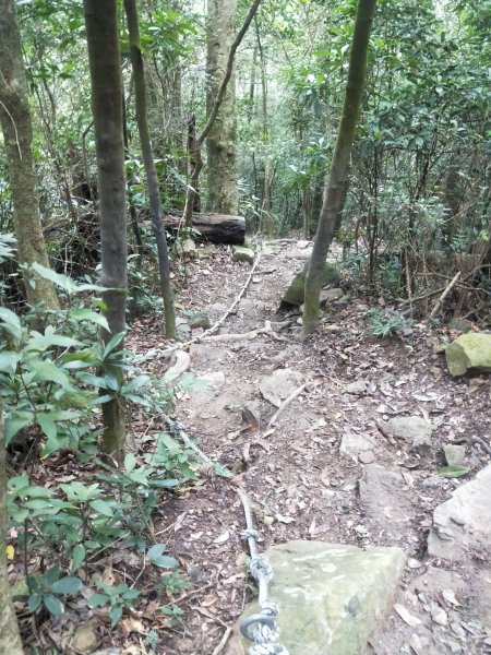 步道巡訪員 l 白毛山步道8月巡訪日誌1060990