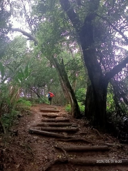 【臺北大縱走 6】中華科大→捷運麟光站、【小百岳集起來】#013 南港山 H375m2470661