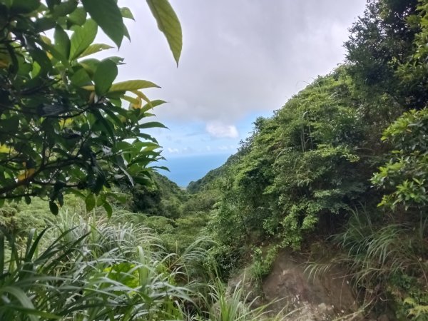 瑞芳區找尋半屏大瀑布未果2880959