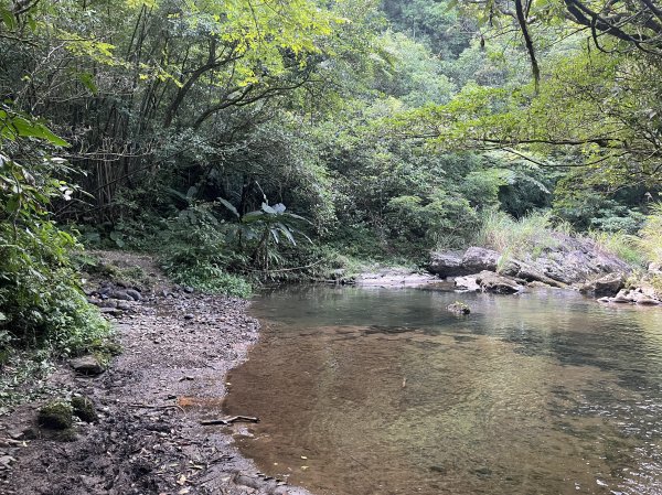 [淡蘭古道] 2024_0623 中路第五段-烏山越嶺古道2533825