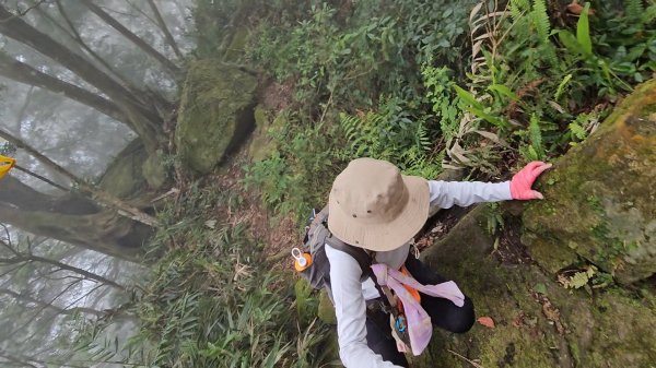 馬武督山西南峰+馬武督山O型走3012864