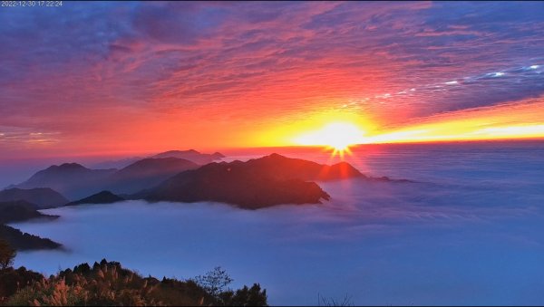 阿里山雲瀑&雲海/富士山直播即時視訊1975844