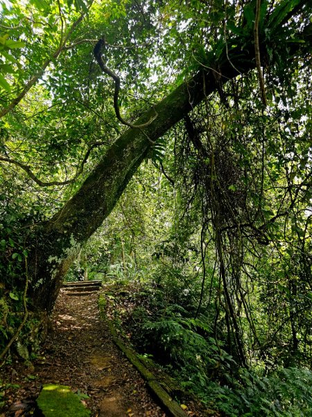 (二格山系)銀河洞越嶺-2025微笑山線大縱走尋寶集章任務2855219