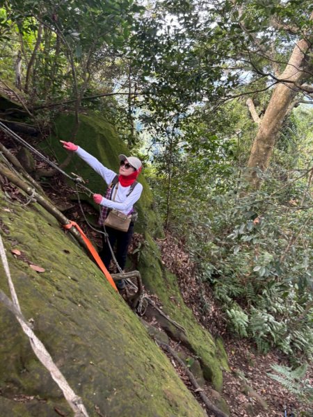 20251229石龜坑山上白石山下白石埤O走+阿姆坪2976752