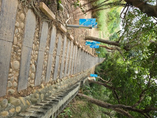 龍井-竹坑-南寮登山古道2651035