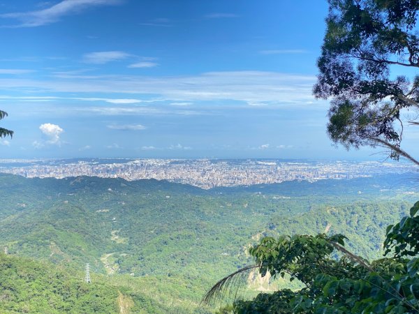 暗影山2604901