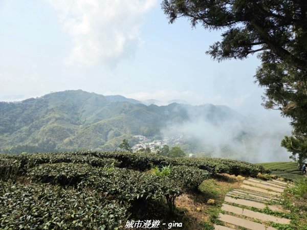 【嘉義梅山】雲嘉五連峰縱走3022293