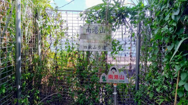 臺北大縱走第六段中華科大至捷運麟光站1483156