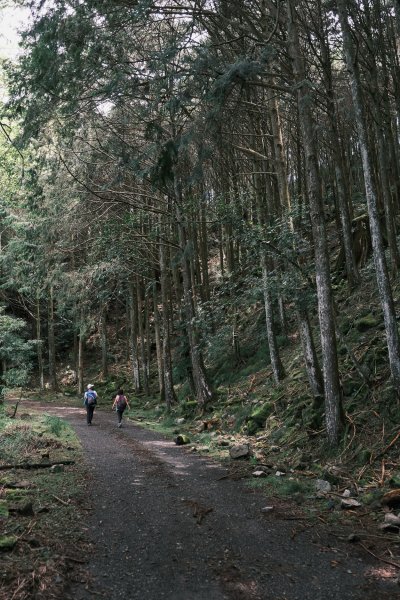 船型山林道(原名210林道)1759871