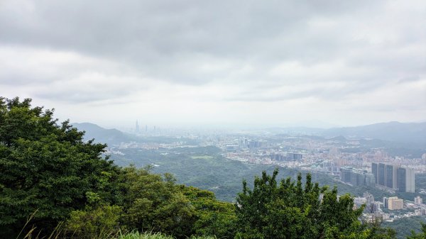 四分尾山,勤進路2515117