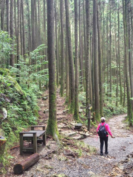 橫沙笛/橫嶺山、沙蓮山、笛吹山2799348